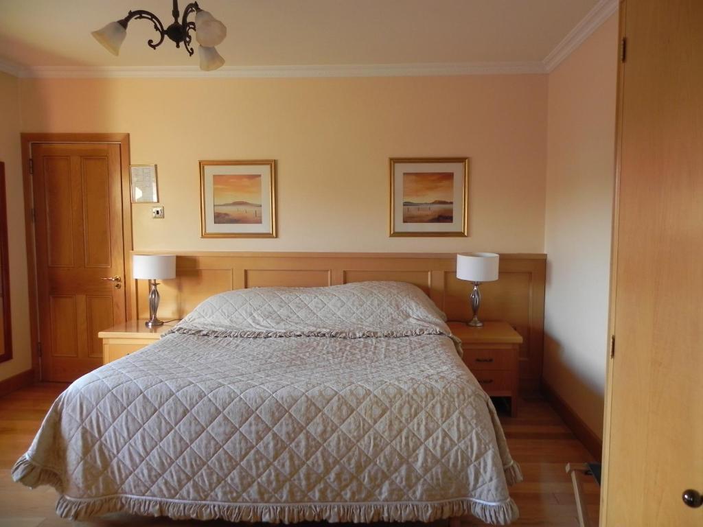 Shelmalier House Hotel Athlone Værelse billede
